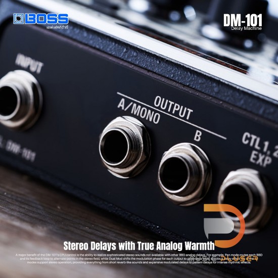 BOSS DM101 Delay Machine DM101 Delay Machine